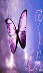 pic for Purple Butterfly